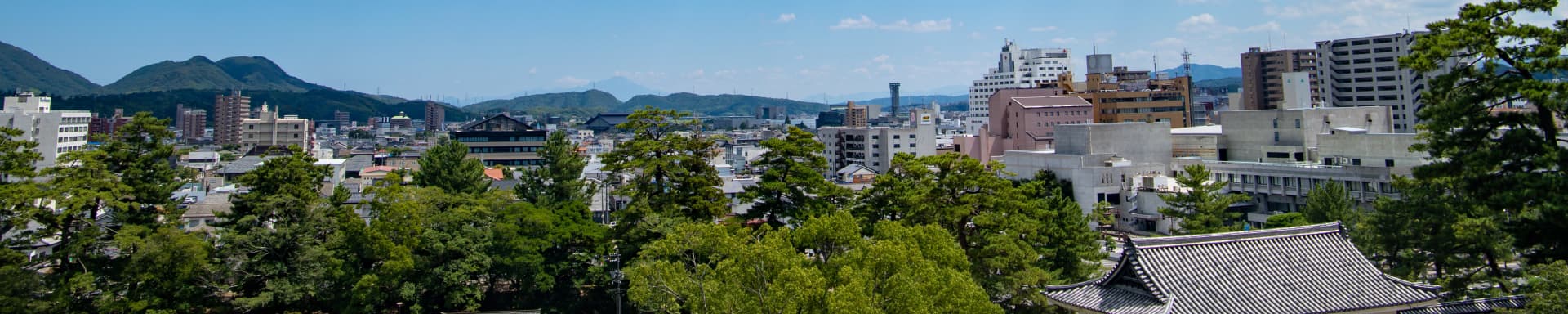会社情報